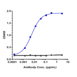 ELISA - Vesencumab Biosimilar - Anti-Neuropilin 1 Antibody - Low endotoxin, Azide free (A323826) - Antibodies.com