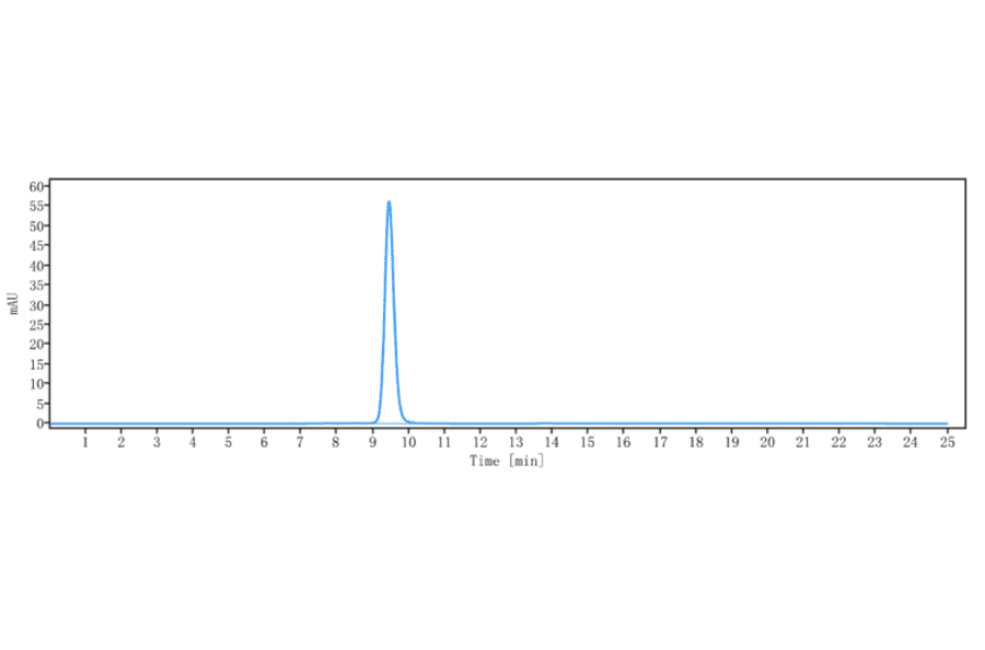 SEC-HPLC - Vibostolimab Biosimilar - Anti-TIGIT Antibody - Low endotoxin, Azide free (A323827) - Antibodies.com