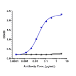 ELISA - Vibostolimab Biosimilar - Anti-TIGIT Antibody - Low endotoxin, Azide free (A323827) - Antibodies.com