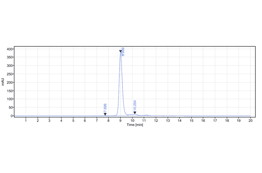 SEC-HPLC - Vofatamab Biosimilar - Anti-FGFR3 Antibody - Low endotoxin, Azide free (A323832) - Antibodies.com