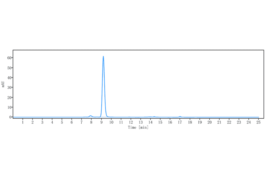 SEC-HPLC - Volociximab Biosimilar - Anti-Integrin alpha 5 + beta 1 Antibody - Low endotoxin, Azide free (A323834) - Antibodies.com