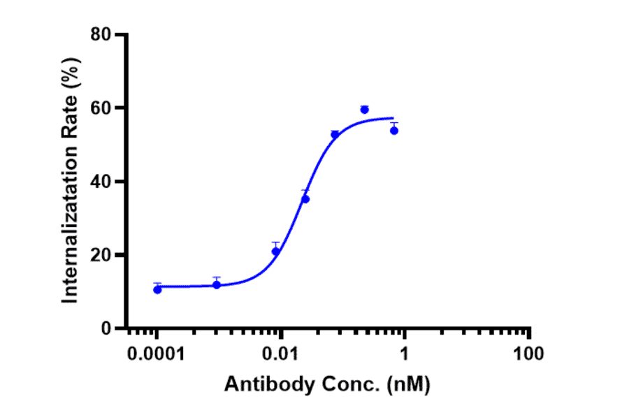 Function:Internalization - Vorsetuzumab Biosimilar - Anti-CD70 Antibody - Low endotoxin, Azide free (A323838) - Antibodies.com