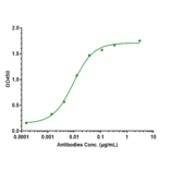 ELISA - Zagotenemab Biosimilar - Anti-Tau Antibody - Low endotoxin, Azide free (A323843) - Antibodies.com