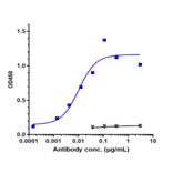 ELISA - Zalutumumab Biosimilar - Anti-EGFR Antibody - Low endotoxin, Azide free (A323845) - Antibodies.com