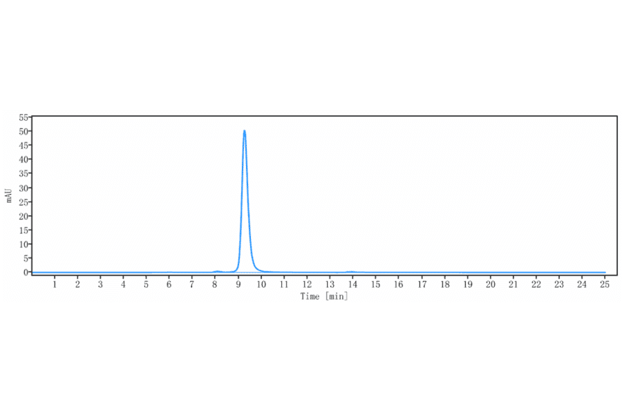 SEC-HPLC - Zanidatamab Biosimilar - Anti-ErbB2/HER2 Antibody - Low endotoxin, Azide free (A323847) - Antibodies.com
