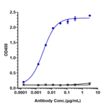 ELISA - Zilovertamab Biosimilar - Anti-ROR1 Antibody - Low endotoxin, Azide free (A323851) - Antibodies.com