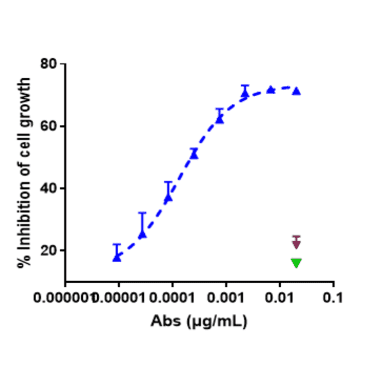 Function:Internalization - Zilovertamab Biosimilar - Anti-ROR1 Antibody - Low endotoxin, Azide free (A323851) - Antibodies.com