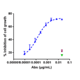 Function:Internalization - Zilovertamab Biosimilar - Anti-ROR1 Antibody - Low endotoxin, Azide free (A323851) - Antibodies.com