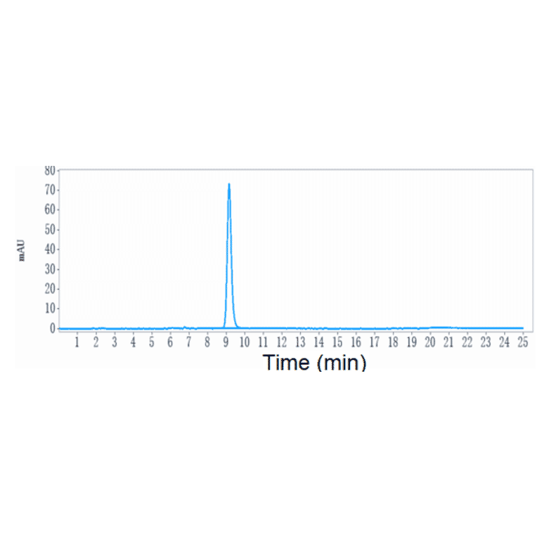SEC-HPLC - Zimberelimab Biosimilar - Anti-PD1 Antibody - Low endotoxin, Azide free (A323853) - Antibodies.com