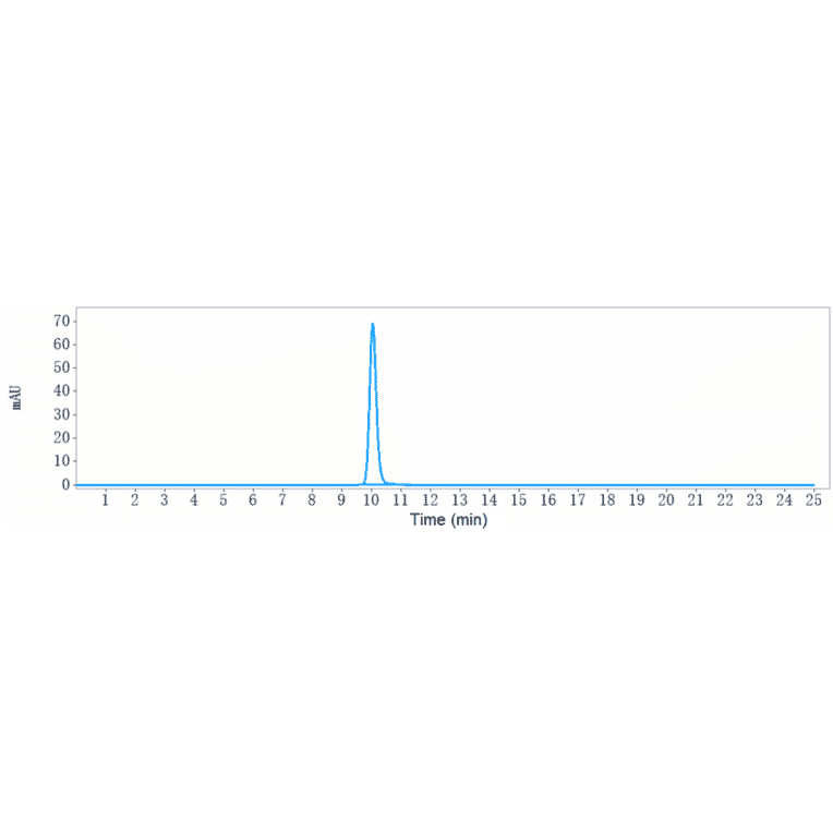 SEC-HPLC - Zuberitamab Biosimilar - Anti-CD20 Antibody - Low endotoxin, Azide free (A323856) - Antibodies.com