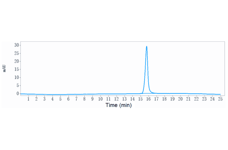 SEC-HPLC - Anti-KAAG1 Antibody [3A4] - Low endotoxin, Azide free (A323857) - Antibodies.com