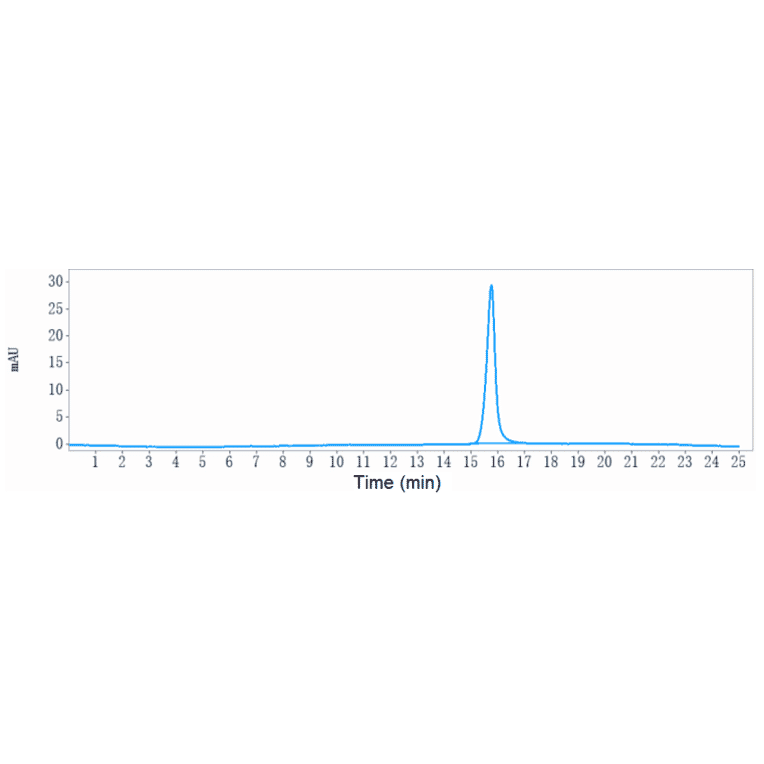 SEC-HPLC - Anti-KAAG1 Antibody [3A4] - Low endotoxin, Azide free (A323857) - Antibodies.com