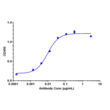 ELISA - Anti-c-Kit Antibody [LOP628] - Low endotoxin, Azide free (A323861) - Antibodies.com