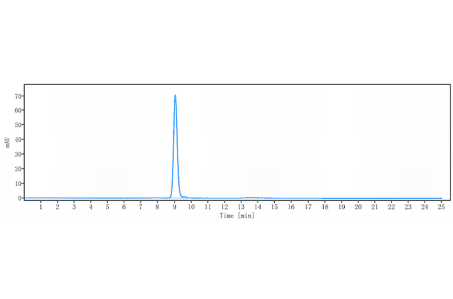 SEC-HPLC - Anti-Interferon alpha/beta Receptor 1 Antibody [Research Grade Biosimilar] - Low endotoxin, Azide free (A323863) - Antibodies.com