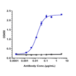 ELISA - Anti-Interferon alpha/beta Receptor 1 Antibody [Research Grade Biosimilar] - Low endotoxin, Azide free (A323863) - Antibodies.com