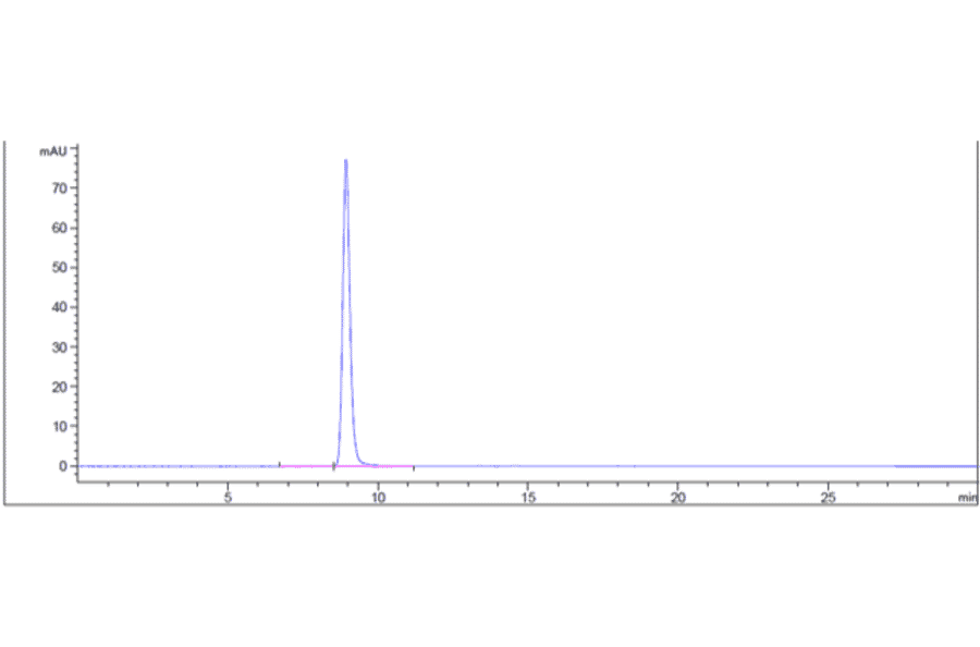SEC-HPLC - Anti-Melanoma gp100 Antibody [Research Grade Biosimilar] - Low endotoxin, Azide free (A323864) - Antibodies.com