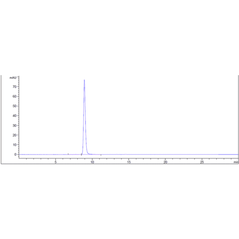 SEC-HPLC - Anti-Melanoma gp100 Antibody [Research Grade Biosimilar] - Low endotoxin, Azide free (A323864) - Antibodies.com