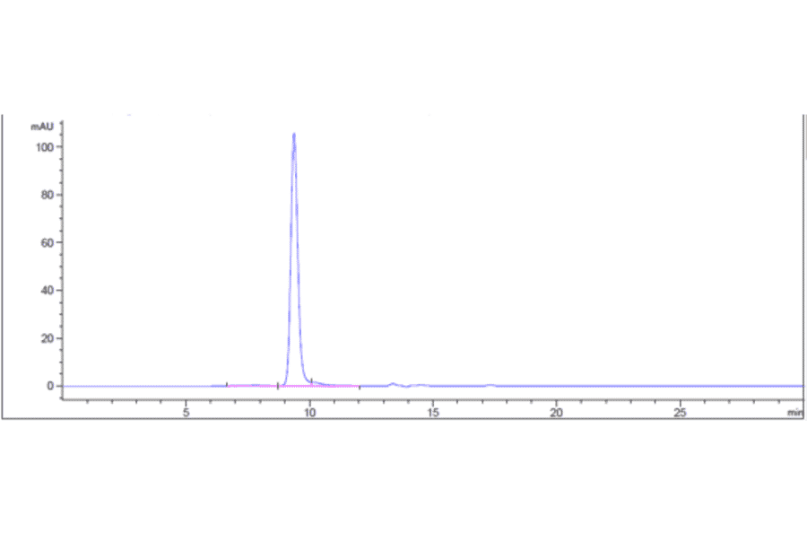 SEC-HPLC - Anti-Melanoma gp100 Antibody [Research Grade Biosimilar] - Low endotoxin, Azide free (A323865) - Antibodies.com