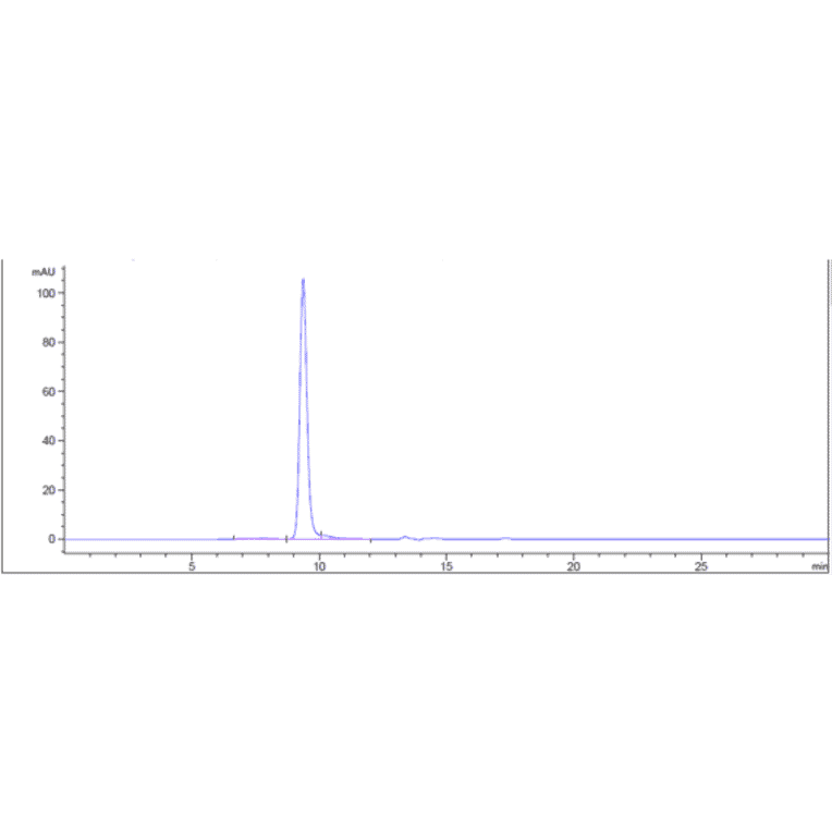 SEC-HPLC - Anti-Melanoma gp100 Antibody [Research Grade Biosimilar] - Low endotoxin, Azide free (A323865) - Antibodies.com