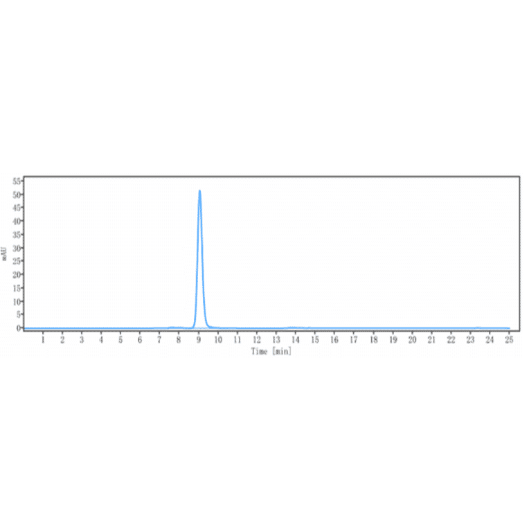 SEC-HPLC - Anti-xCT Antibody [Research Grade Biosimilar] - Low endotoxin, Azide free (A323867) - Antibodies.com