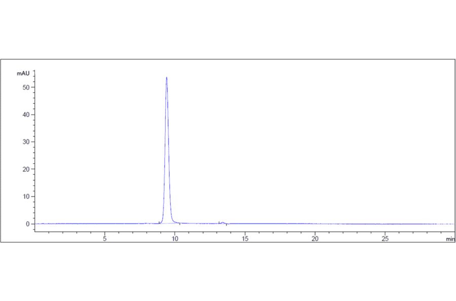 SEC-HPLC - Anti-5T4 Antibody [PF-06263507] - Low endotoxin, Azide free (A323871) - Antibodies.com