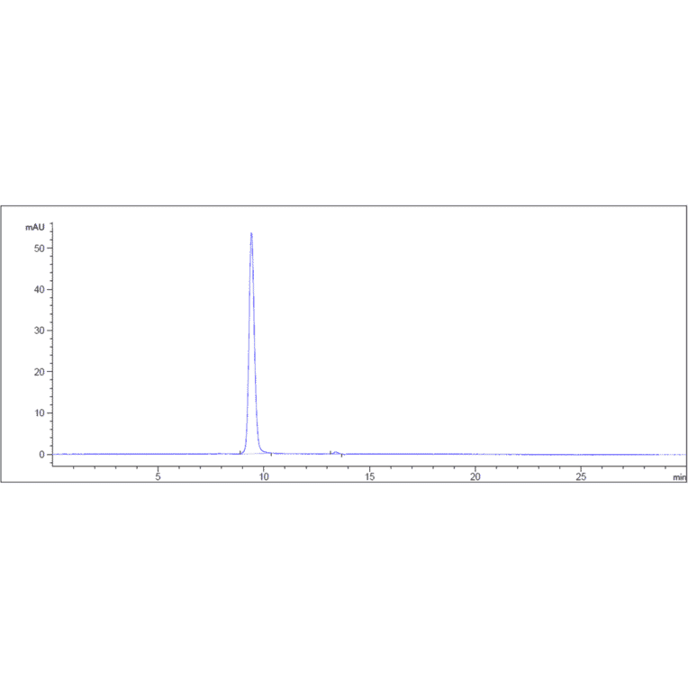 SEC-HPLC - Anti-5T4 Antibody [PF-06263507] - Low endotoxin, Azide free (A323871) - Antibodies.com