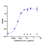 ELISA - Anti-5T4 Antibody [PF-06263507] - Low endotoxin, Azide free (A323871) - Antibodies.com