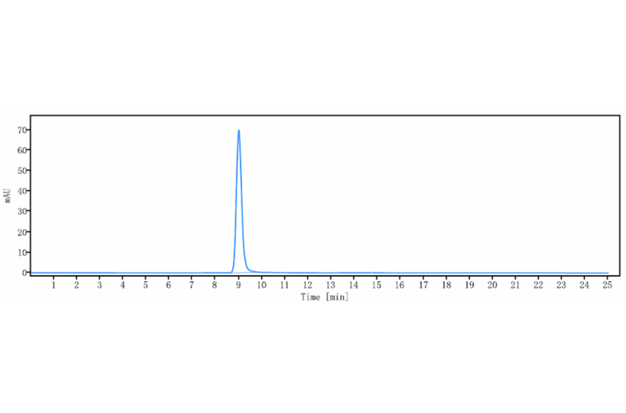 SEC-HPLC - Anti-Activin Receptor Type IIA/ACVR2A Antibody [Ab-14E1] - Low endotoxin, Azide free (A323876) - Antibodies.com