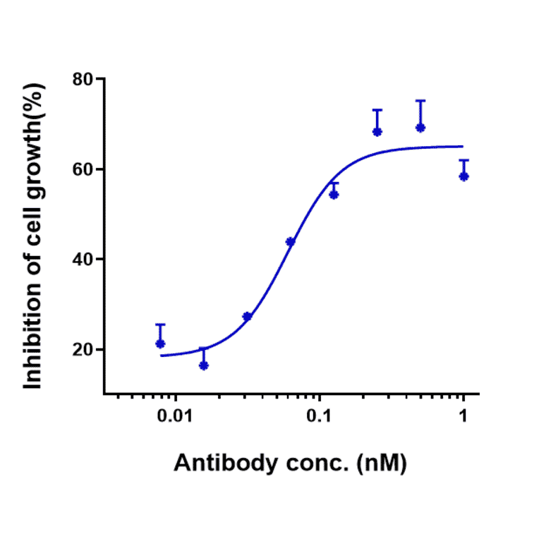 Function:Internalization - Anti-ADAM9 Antibody [IMGC936] - Low endotoxin, Azide free (A323878) - Antibodies.com