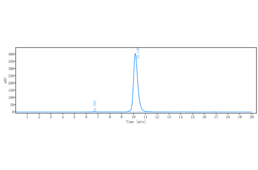 SEC-HPLC - Anti-Adenosine Receptor A2a Antibody [3F6-9G5] - Low endotoxin, Azide free (A323879) - Antibodies.com