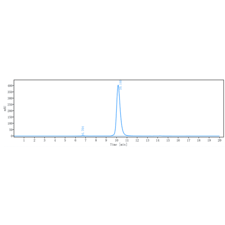SEC-HPLC - Anti-Adenosine Receptor A2a Antibody [3F6-9G5] - Low endotoxin, Azide free (A323879) - Antibodies.com