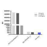 FACS - Anti-Adenosine Receptor A2a Antibody [3F6-9G5] - Low endotoxin, Azide free (A323879) - Antibodies.com