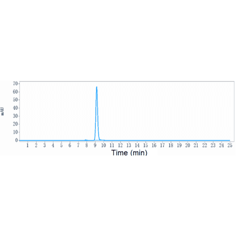 SEC-HPLC - Anti-Albumin Antibody [Research Grade Biosimilar] - Low endotoxin, Azide free (A323880) - Antibodies.com