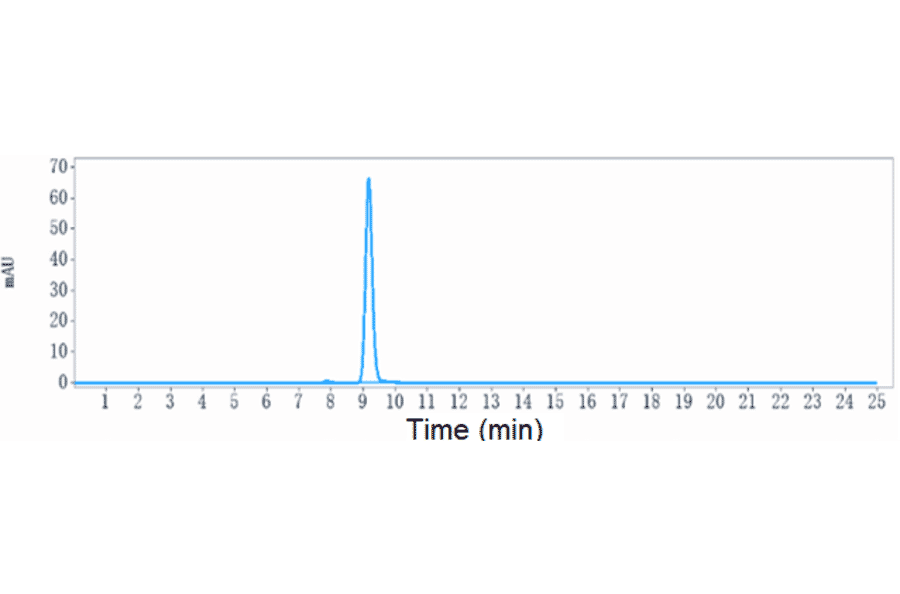 SEC-HPLC - Anti-Albumin Antibody [Research Grade Biosimilar] - Low endotoxin, Azide free (A323881) - Antibodies.com