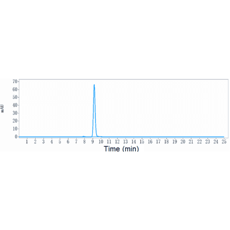 SEC-HPLC - Anti-Albumin Antibody [Research Grade Biosimilar] - Low endotoxin, Azide free (A323881) - Antibodies.com