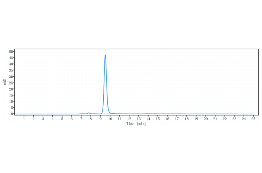 SEC-HPLC - Anti-Angiopoietin-like 4/ANGPTL4 Antibody [Research Grade Biosimilar] - Low endotoxin, Azide free (A323884) - Antibodies.com