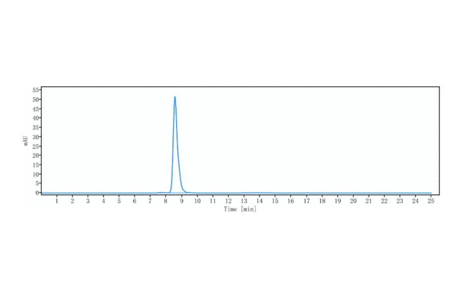 SEC-HPLC - Anti-ASIC1 Antibody [Research Grade Biosimilar] - Low endotoxin, Azide free (A323886) - Antibodies.com