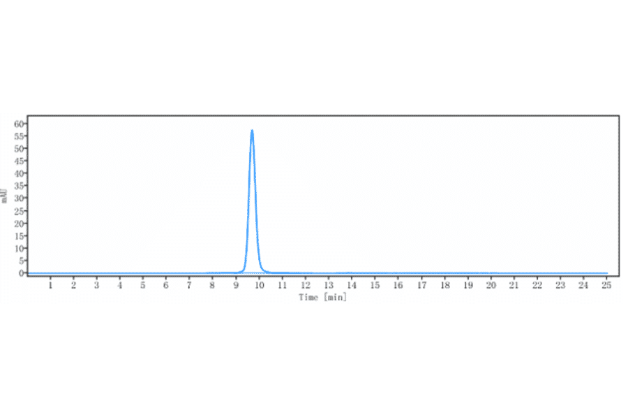 SEC-HPLC - Anti-Bcl-2 Antibody [Research Grade Biosimilar] - Low endotoxin, Azide free (A323891) - Antibodies.com
