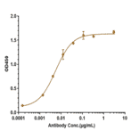 ELISA - Anti-beta Amyloid Antibody [Research Grade Biosimilar] - Low endotoxin, Azide free (A323892) - Antibodies.com