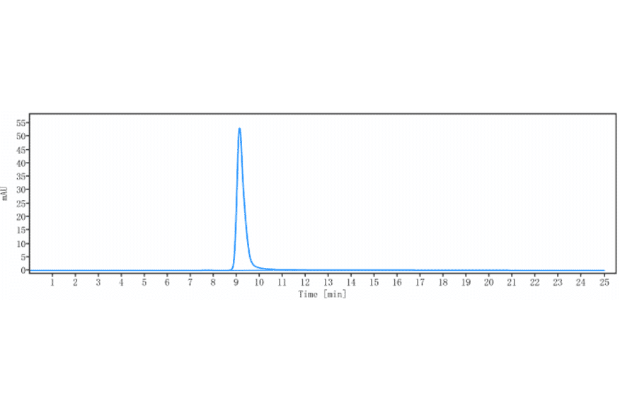 SEC-HPLC - Anti-beta Amyloid Antibody [Research Grade Biosimilar] - Low endotoxin, Azide free (A323894) - Antibodies.com