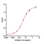 ELISA - Anti-beta Amyloid Antibody [Research Grade Biosimilar] - Low endotoxin, Azide free (A323895) - Antibodies.com