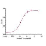 ELISA - Anti-beta Amyloid Antibody [Research Grade Biosimilar] - Low endotoxin, Azide free (A323898) - Antibodies.com