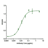 ELISA - Anti-beta Amyloid Antibody [CNTO 2125] - Low endotoxin, Azide free (A323900) - Antibodies.com