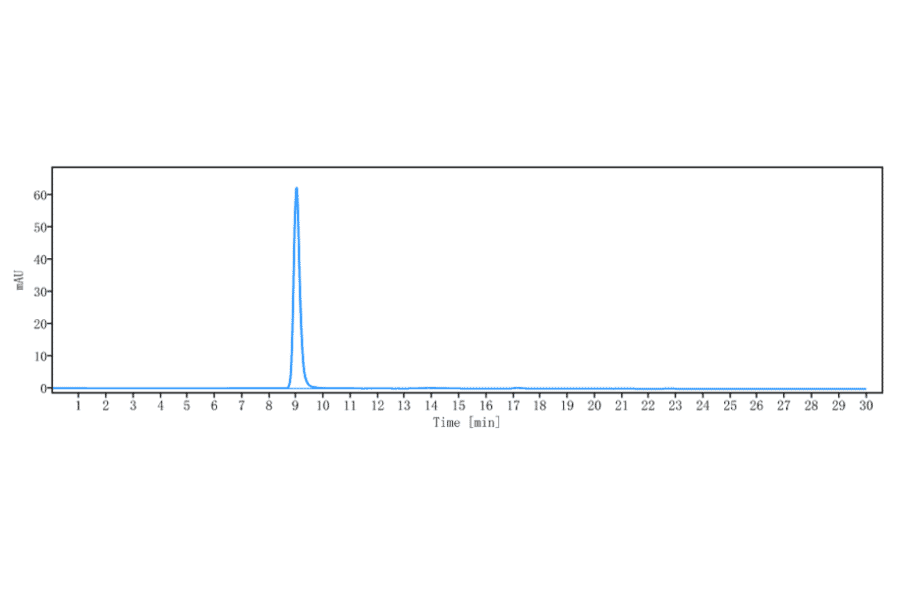 SEC-HPLC - Anti-beta Amyloid Antibody [GSK 933776] - Low endotoxin, Azide free (A323901) - Antibodies.com