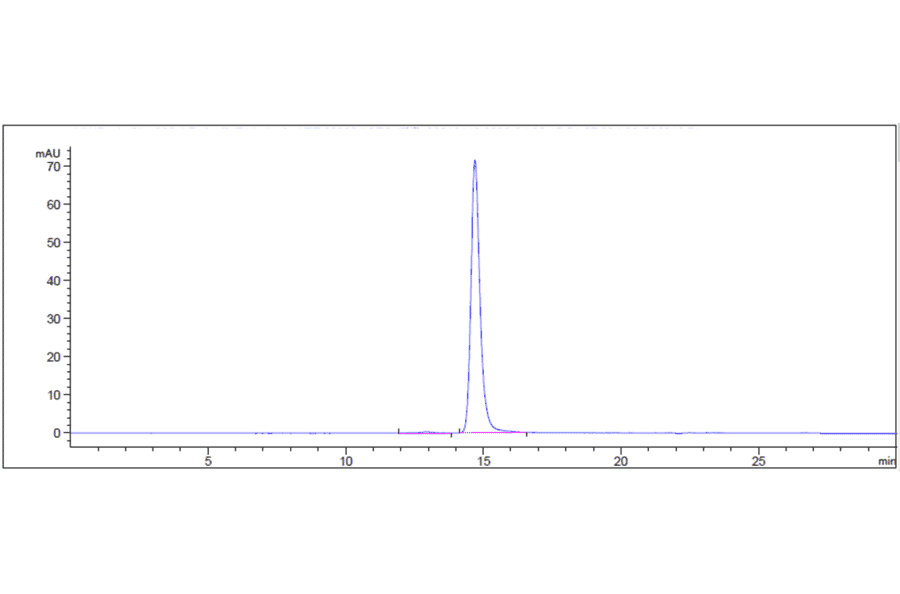 SEC-HPLC - Anti-BTN1A1 Antibody [CTX-2026] - Low endotoxin, Azide free (A323904) - Antibodies.com