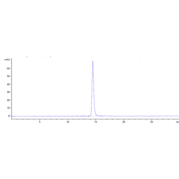 SEC-HPLC - Anti-BTN1A1 Antibody [ICT-01] - Low endotoxin, Azide free (A323905) - Antibodies.com