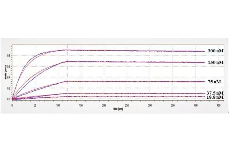 Kinetics (SPR) - Anti-BTN1A1 Antibody [ICT-01] - Low endotoxin, Azide free (A323905) - Antibodies.com