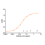 ELISA - Anti-C1q Antibody [ANX005] - Low endotoxin, Azide free (A323907) - Antibodies.com