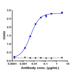 ELISA - Anti-C2 Antibody [ARGX-117] - Low endotoxin, Azide free (A323908) - Antibodies.com