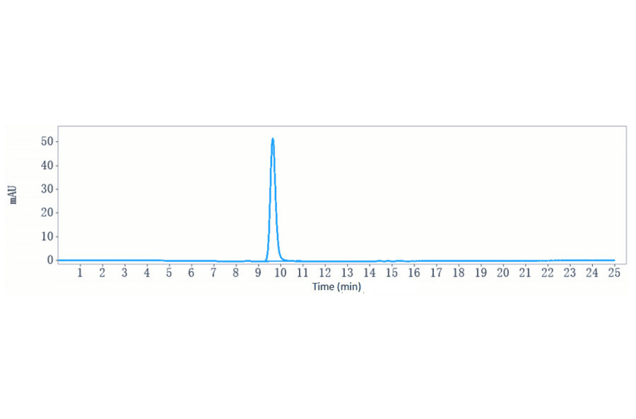 SEC-HPLC - Anti-CA19-9 Antibody [MVT-5873] - Low endotoxin, Azide free (A323912) - Antibodies.com